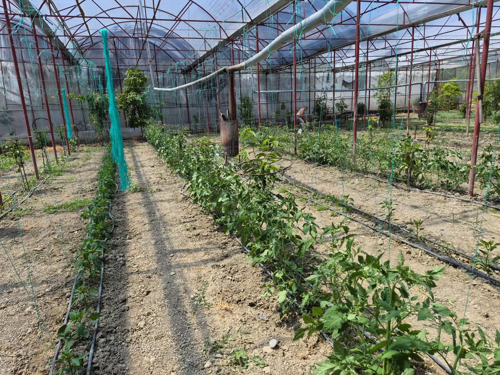 Hasadın Parçası Olun